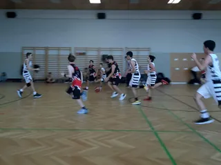 Vienna Giants Basketball