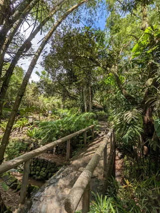 Mount Purro Nature Reserve