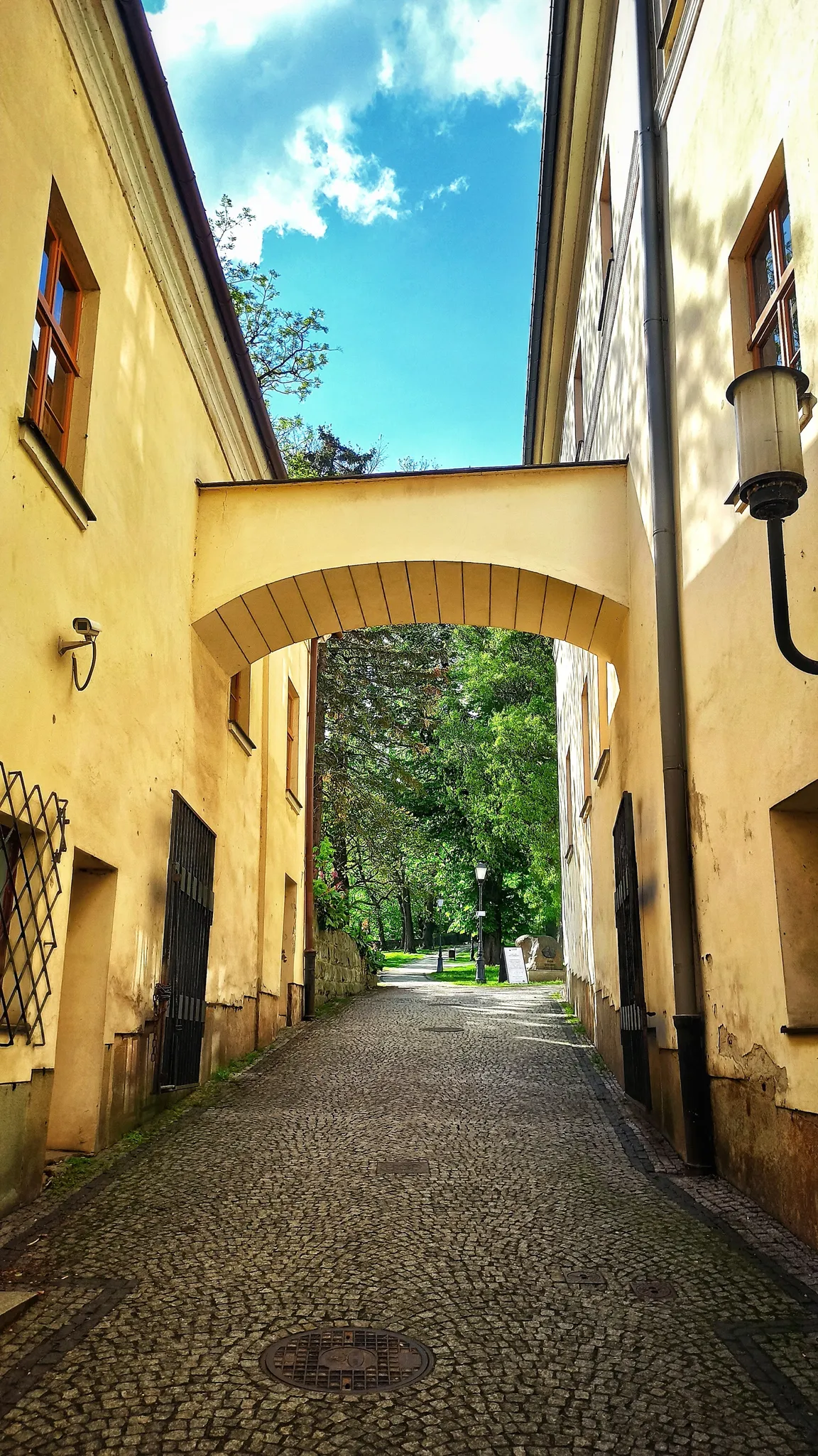 Wzgórze Zamkowe