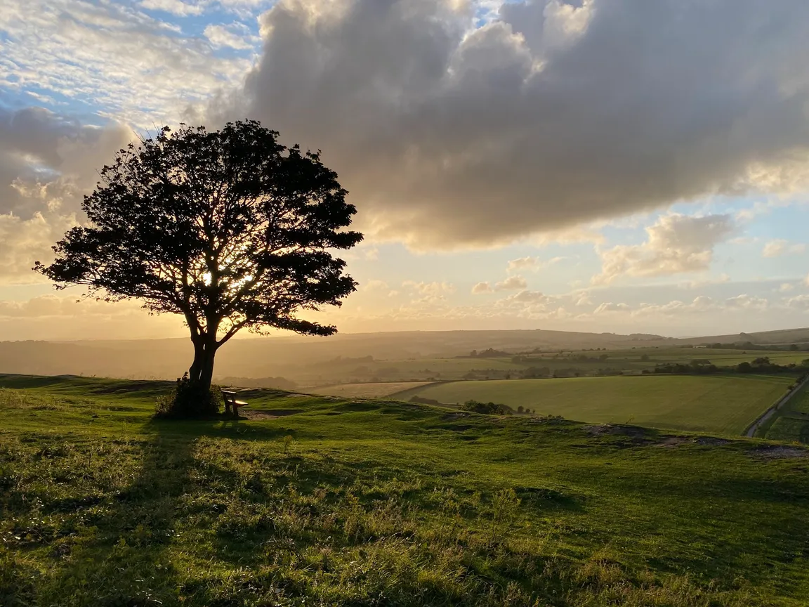 National Trust - Cissbury Ring