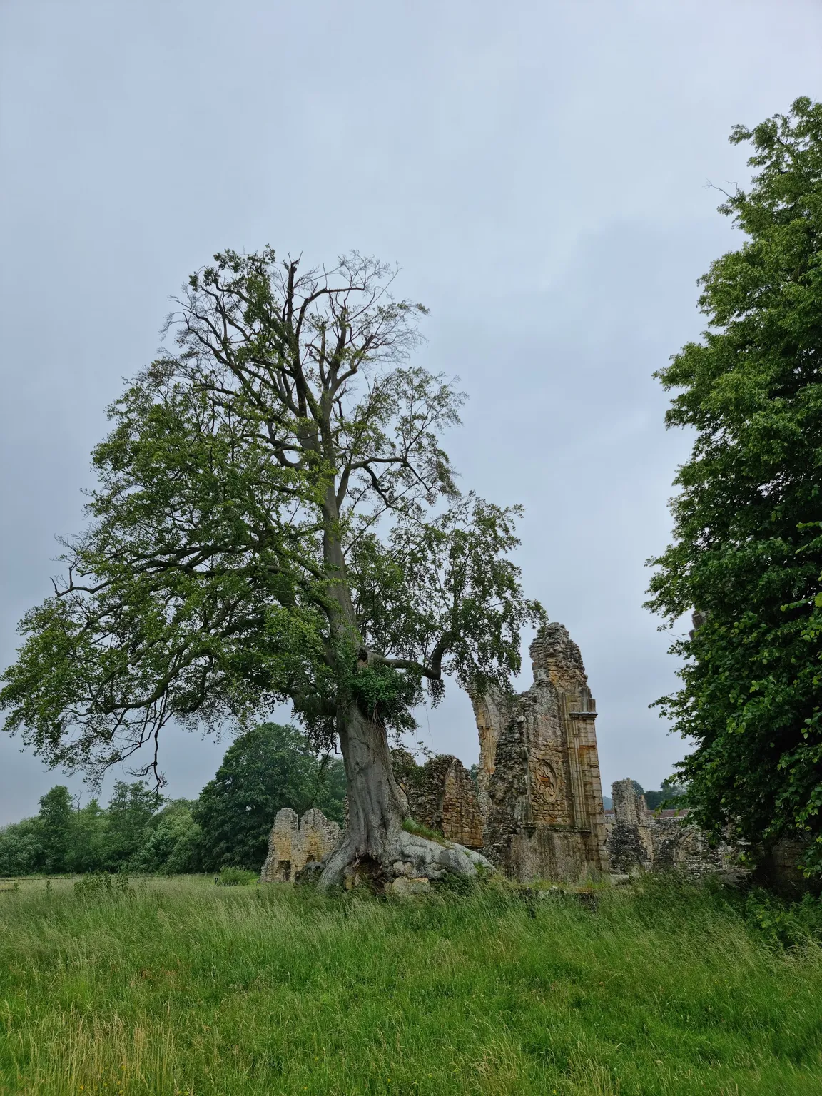 Bayham Old Abbey