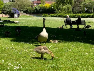 Lowndes Park