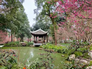 Du Fu Thatched Cottage （Southwest Gate）