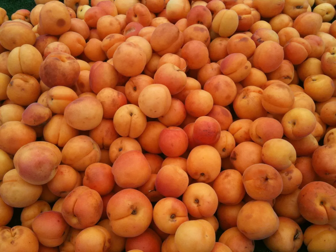 La Cienega Farmers' Market
