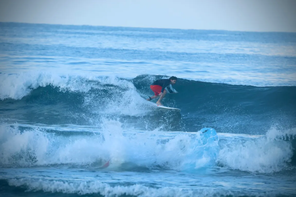 Tortuga surf camp.