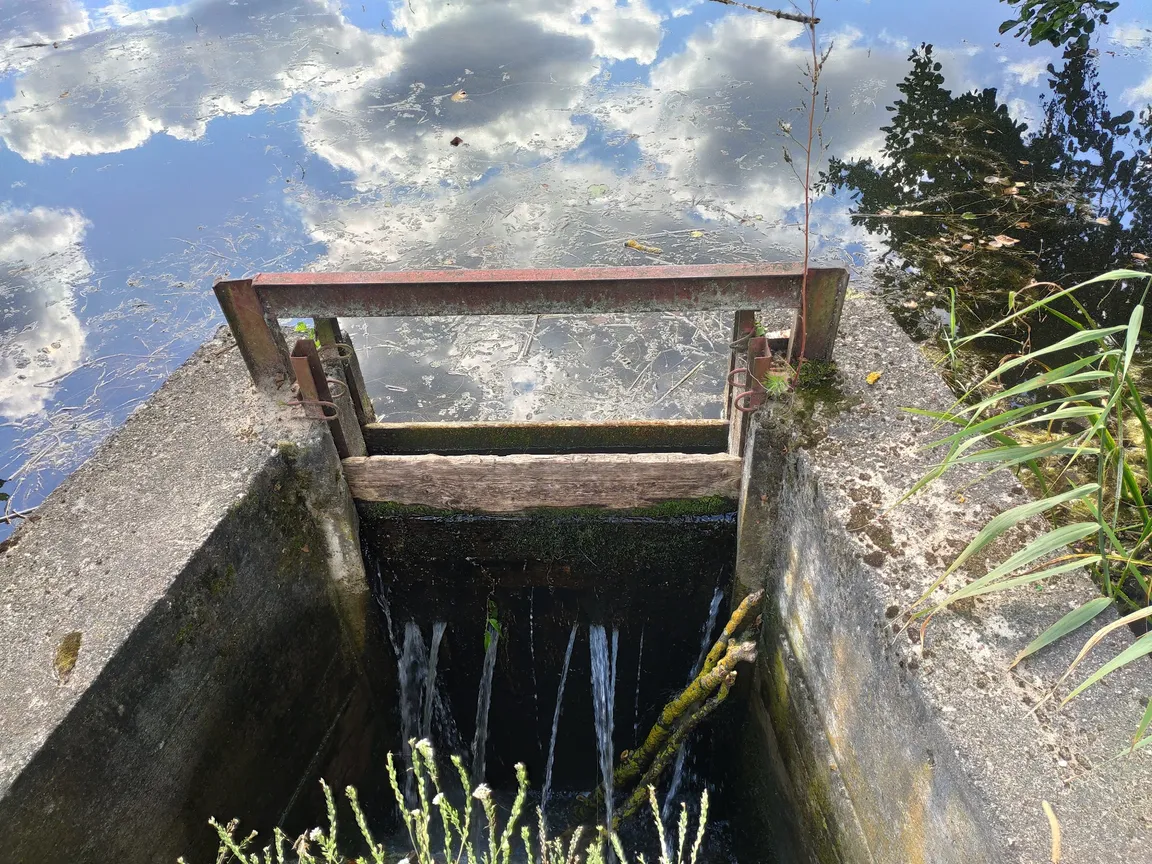 Jezioro Komosa