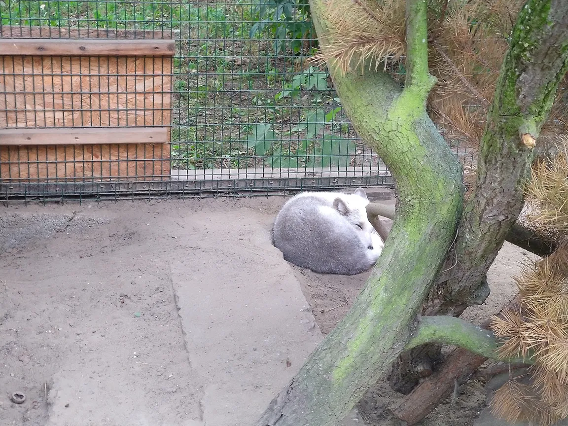 Ogród Zoologiczny w Bydgoszczy