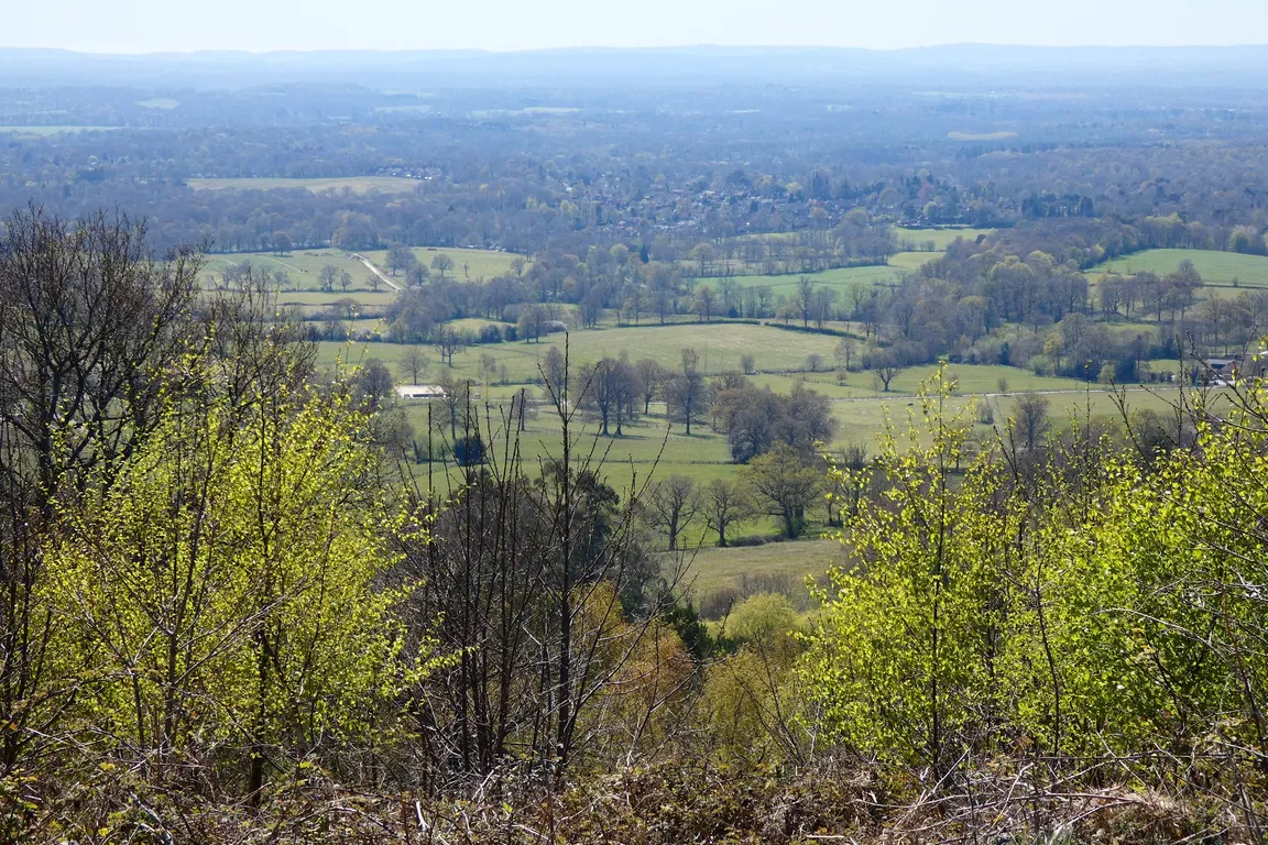 Holmbury Hill