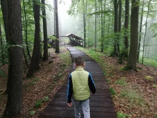 Leśny plac zabaw Marszewo