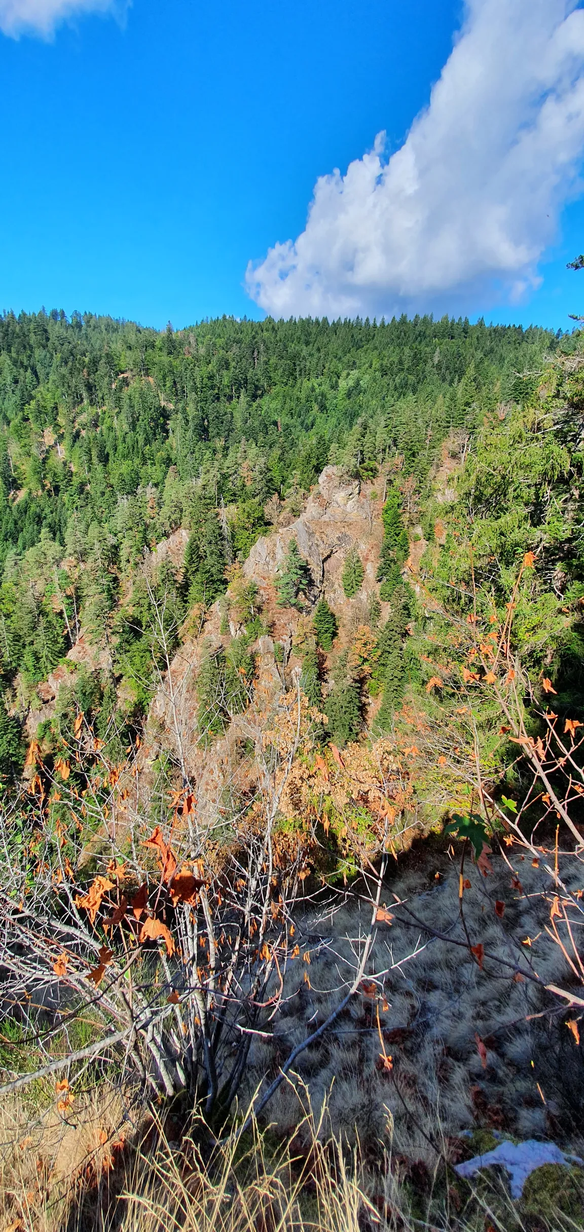 Aussichtsplattform Studentenfelsen
