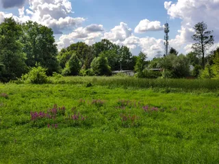 Łąka nad rzeką Jeziorką