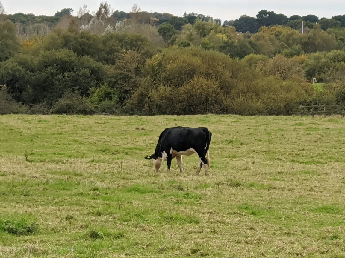 Itchen Valley Country Park