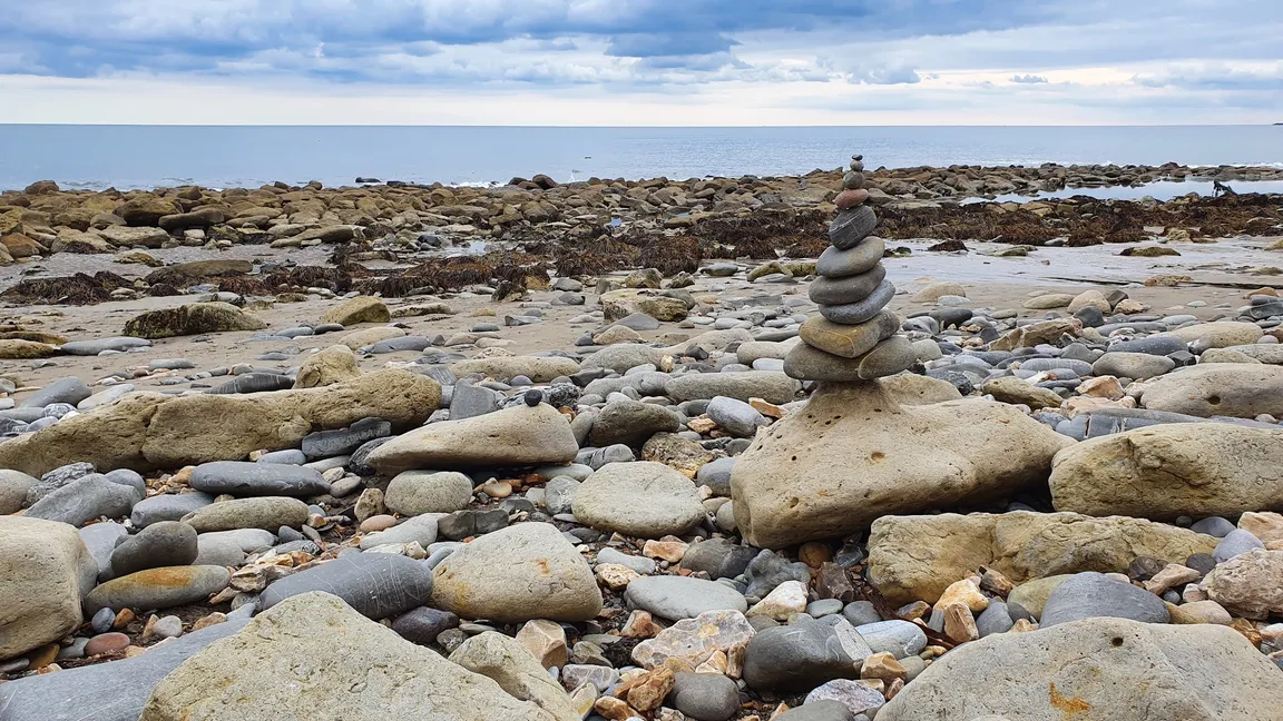 Charmouth Heritage Coast Centre