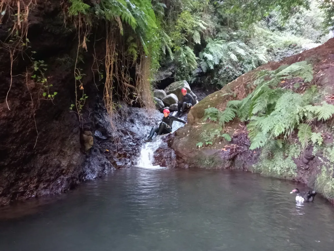Madeira Trekking On Demand