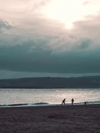 Exe Estuary Trail
