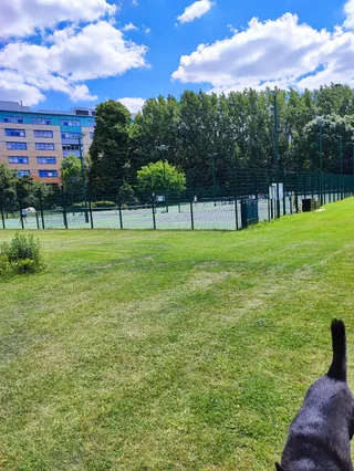 Ladywell Fields Tennis Courts