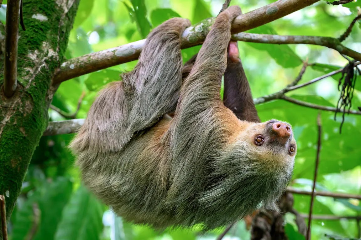 La fortuna Hikes and Trails