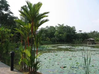 Ogrody botaniczne w Singapurze
