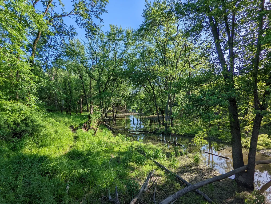 Robinson Woods-South
