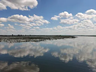 ZEFIR ⚓️REJSY PO KANALE ELBLĄSKIM 🛤