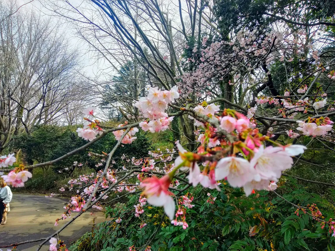 Mitsuike Park
