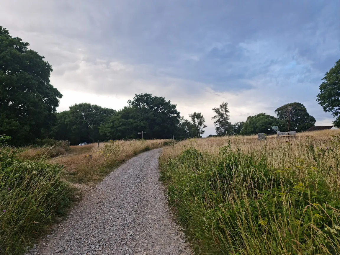Newlands Corner