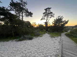 ZQP Trail to Beach