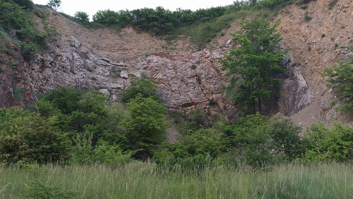 Rezerwat Przyrody Wietrznia im. Zbigniewa Rubinowskiego