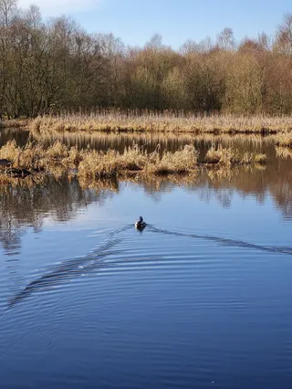 Drumpellier Country Park