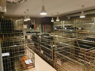 Winnica pod Lipą