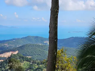 Garden Station & View Point