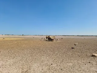 Sir Bani Yas Wildlife Park