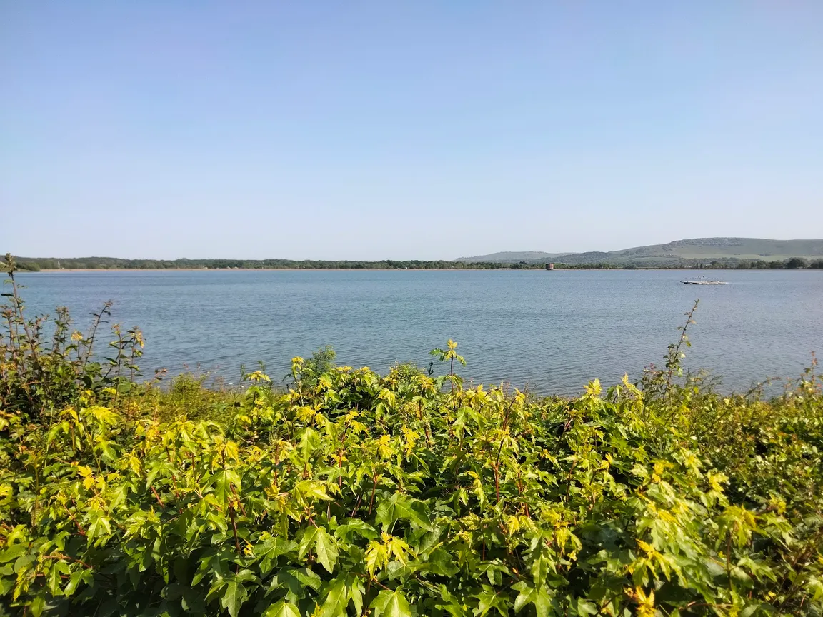 Arlington Reservoir
