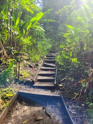 Makiki Valley Loop Trail