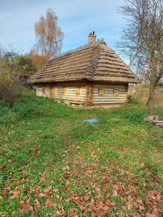 Zamek Kamieniec