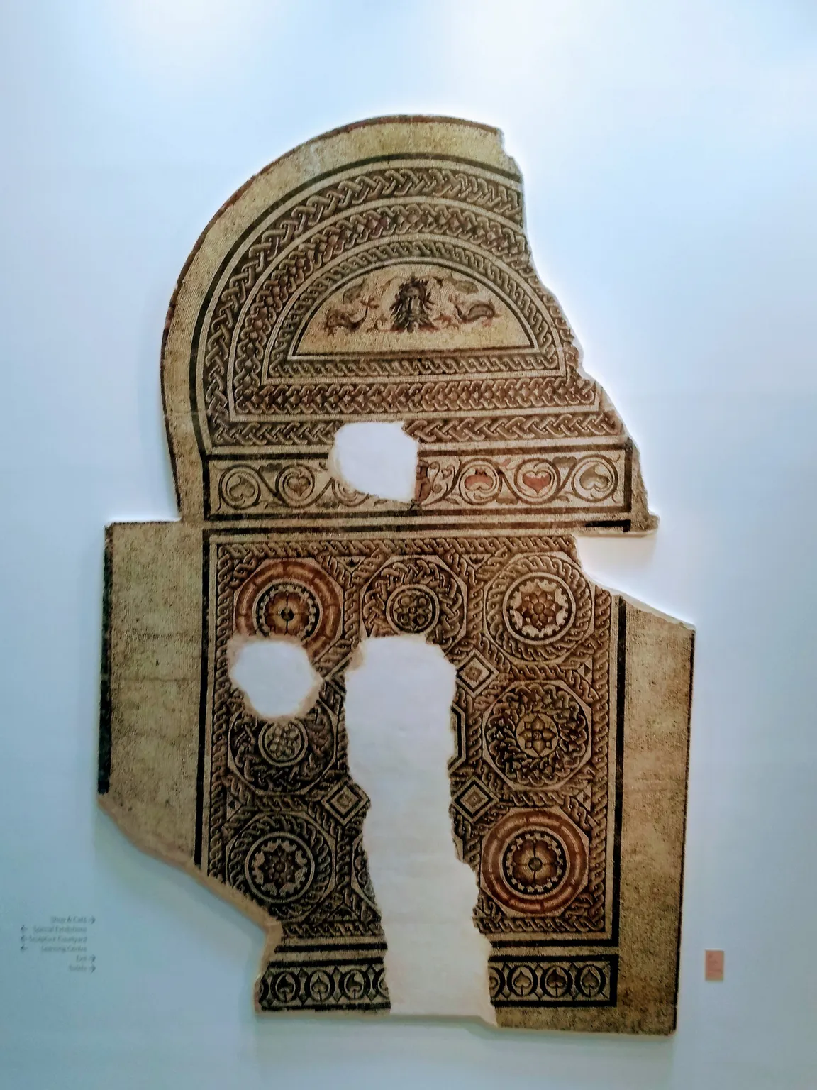 Dorset Museum & Art Gallery