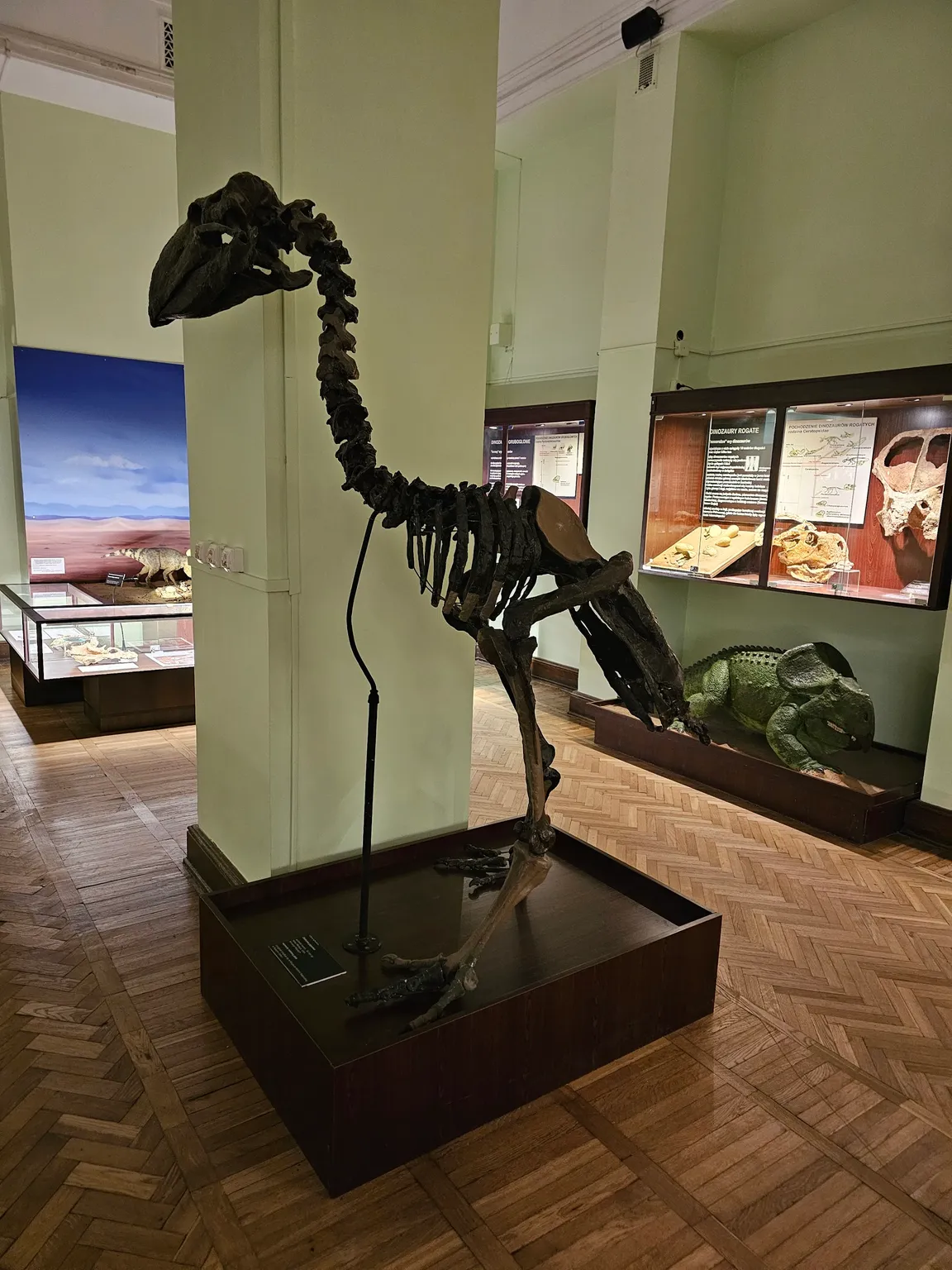Muzeum Ewolucji w PKiN