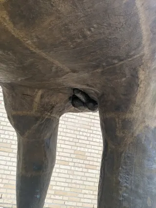 Walking Car Sculpture