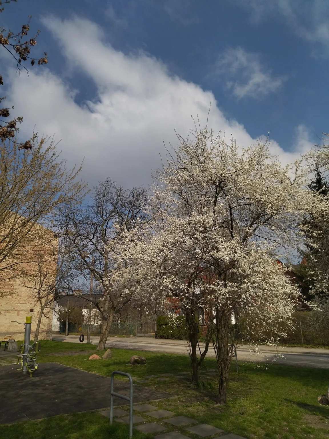 Ścieżka przyrodnicza w Pruszkowie