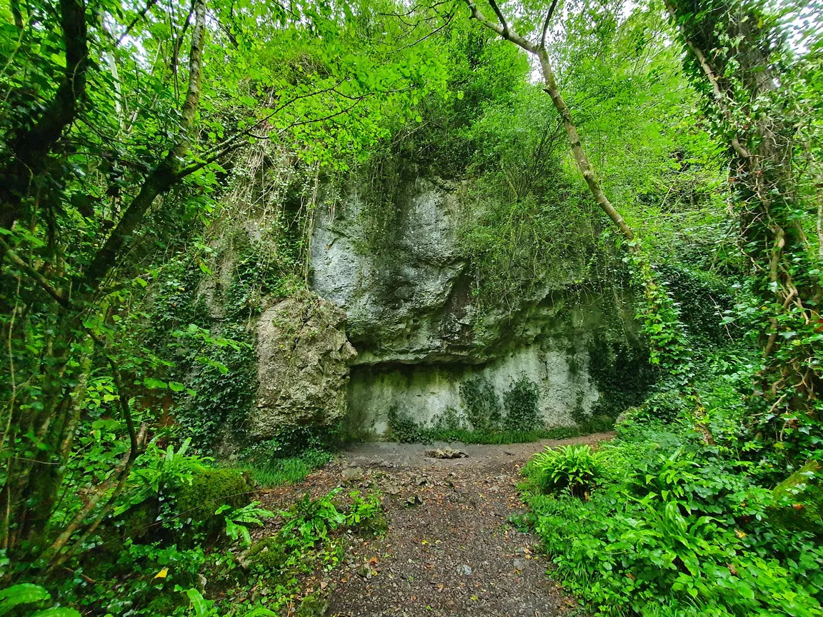 National Trust - Ebbor Gorge National Nature Reserve