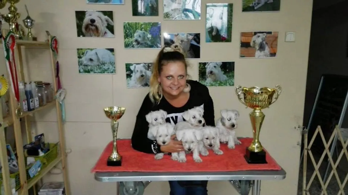 Belina Salon dla psa, kota i królika