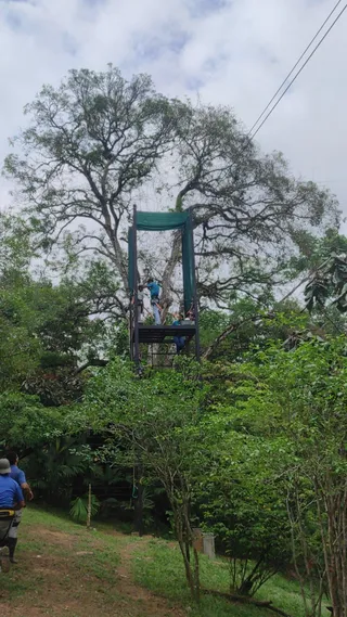 Guau Camp