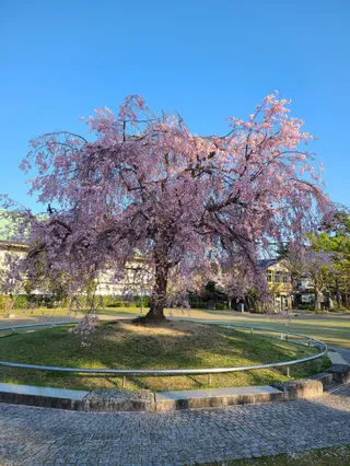 Okazaki Park
