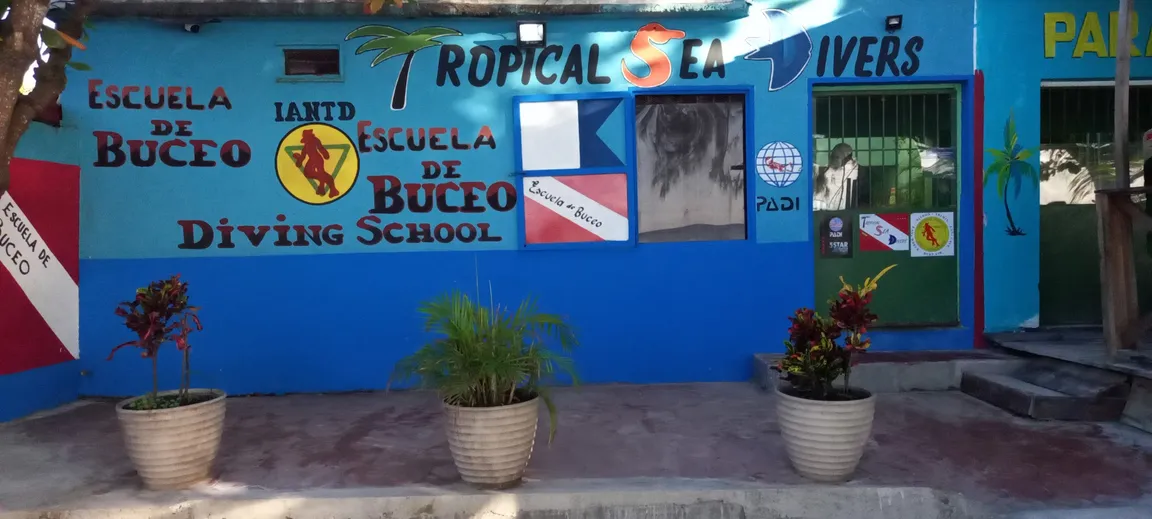 Tropical Sea divers