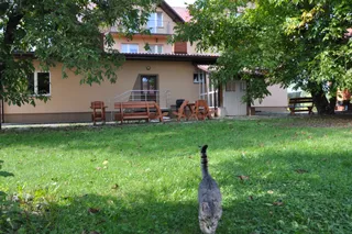 Agroturystyka Dyle