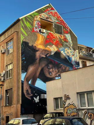 Мурал Гинe Рањичић