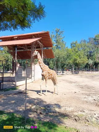 Parque Zoológico de León