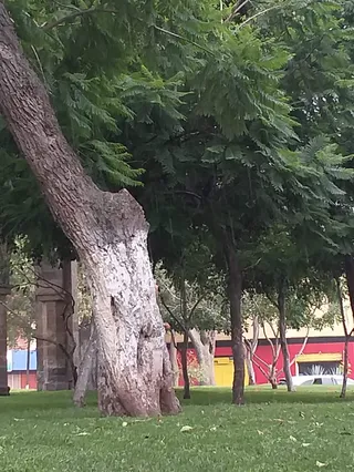 Plaza de la Bandera