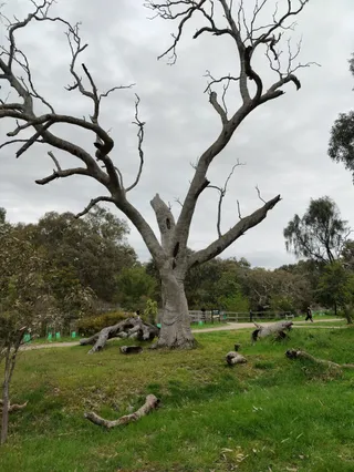 Woodlands Historic Park (Parks Victoria)