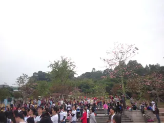 黄金山公园